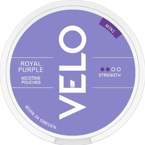 VELO Groovy Grape Mini (Royal Purple Mini)